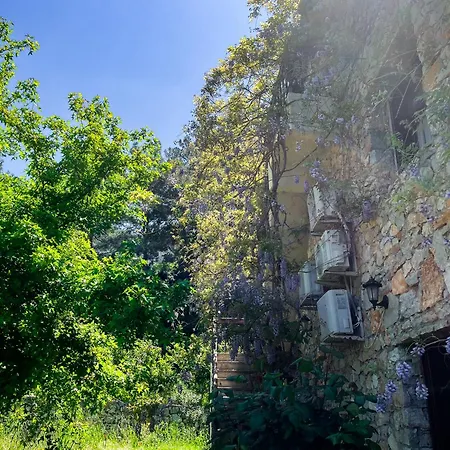 Faralia Ξενοδοχείο Faralya