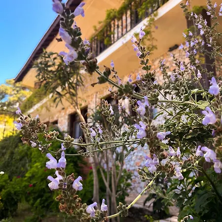 Hotel Faralia Faralya