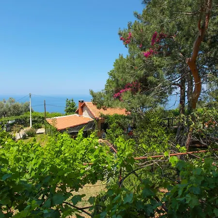 Faralia فاراليا