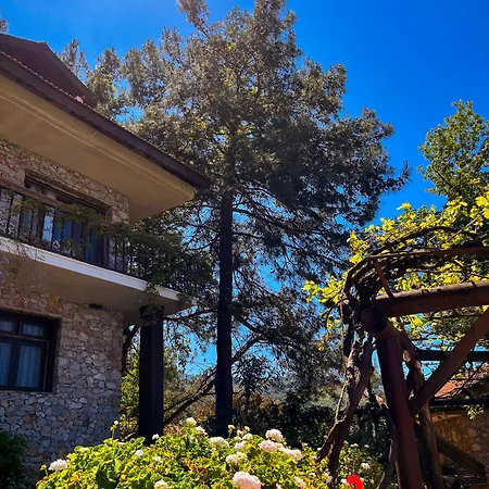 Ξενοδοχείο Faralia 3*