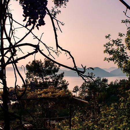 Faralia فاراليا