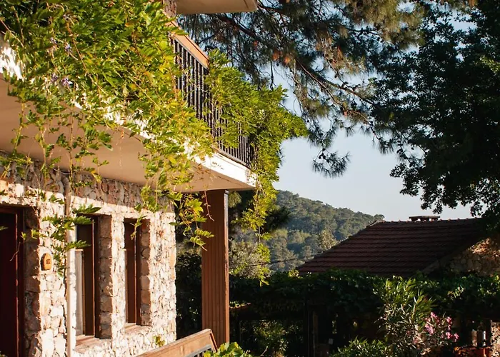 Faralia Hotel Faralya